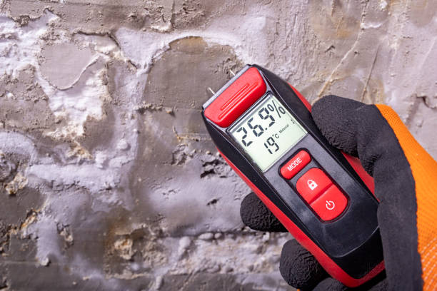 Home Mold Removal in Rockford, MN